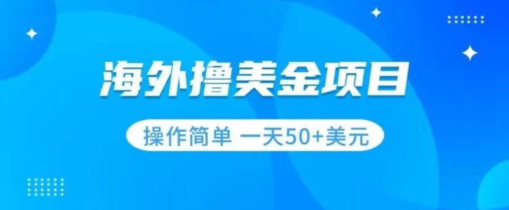 撸美金项目无门槛操作简单小白一天50+美刀-比钱轻创