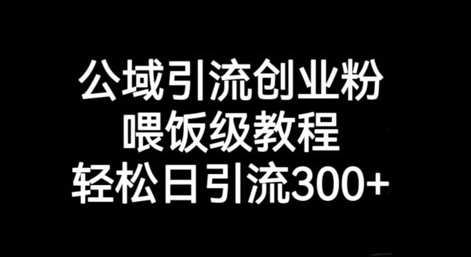 公域引流创业粉，喂饭级教程，轻松日引流300+【揭秘】-比钱轻创