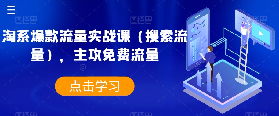 淘系爆款流量实战课（搜索流量），主攻免费流量-比钱轻创