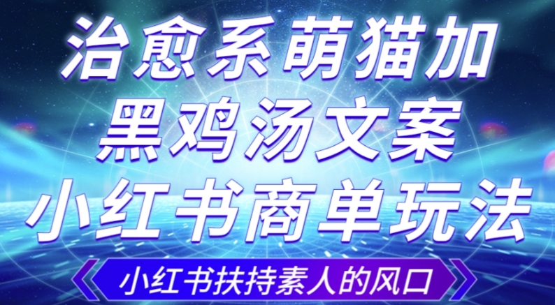治愈系萌猫加+黑鸡汤文案，小红书商单玩法，3~10天涨到1000粉，一单200左右-比钱轻创