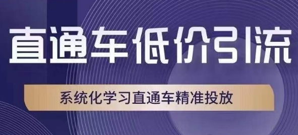 直通车低价引流课，系统化学习直通车精准投放-比钱轻创