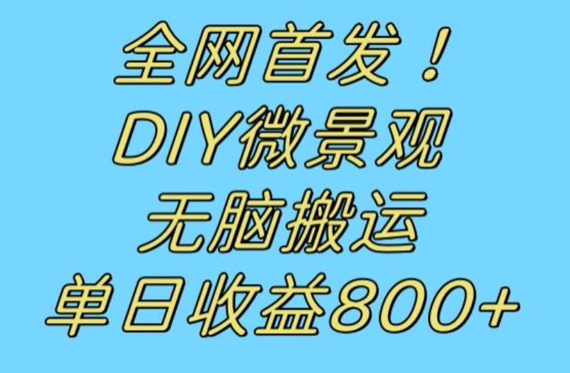 全网首发冷门赛道！DIY微景观，无脑搬运视频，日收益800+【揭秘】-比钱轻创