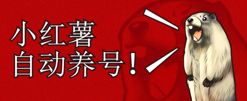 小红书养号秘籍，如何自动涨粉清晰系统标签打造高权重账号【揭秘】-比钱轻创