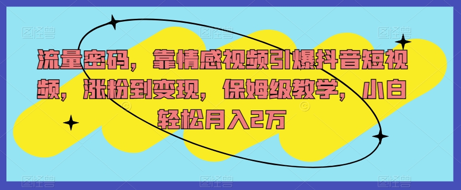 流量密码，靠情感视频引爆抖音短视频，涨粉到变现，保姆级教学，小白轻松月入2万【揭秘】-比钱轻创