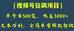 日收款500笔，纯利润3000+，视频号狂飙项目，会简单剪辑就能做【揭秘】-比钱轻创