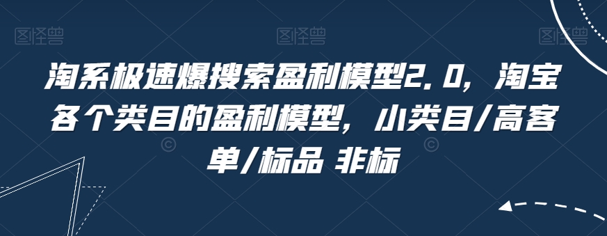 淘系极速爆搜索盈利模型2.0，淘宝各个类目的盈利模型，小类目/高客单/标品 非标-比钱轻创
