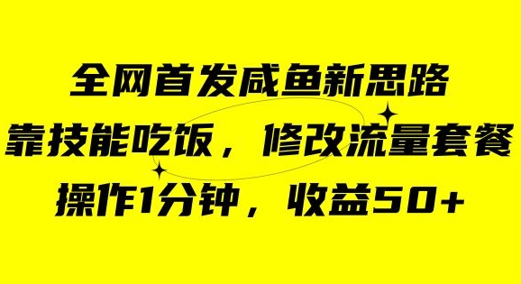 咸鱼冷门新玩法，靠“技能吃饭”，修改流量套餐，操作1分钟，收益50【揭秘】-比钱轻创