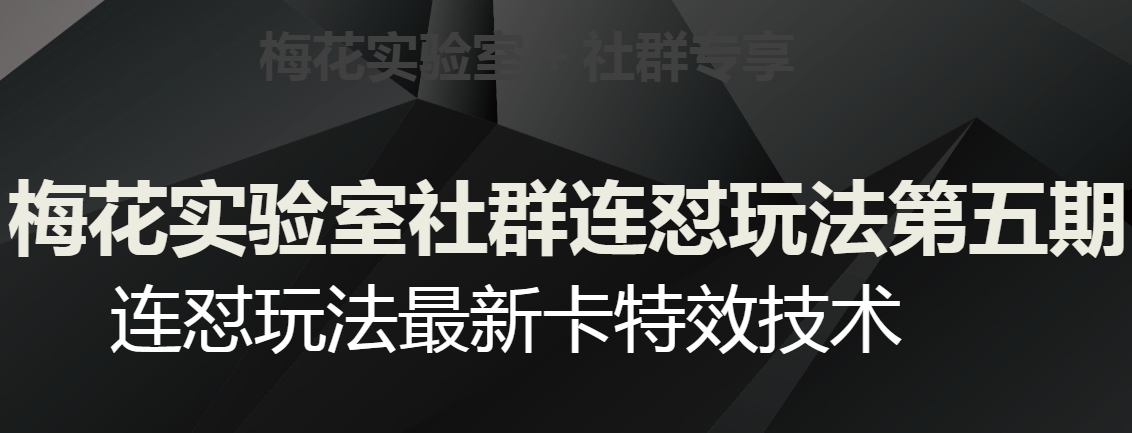 梅花实验室社群连怼玩法第五期，视频号连怼玩法最新卡特效技术-比钱轻创