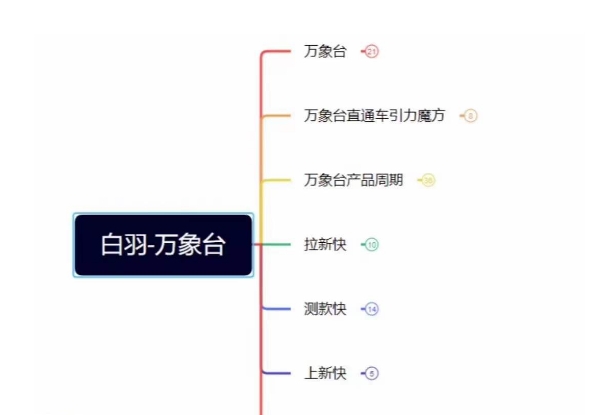 白羽·直引万搜索全篇，从0-1，多个类目实操经验总结付费-比钱轻创
