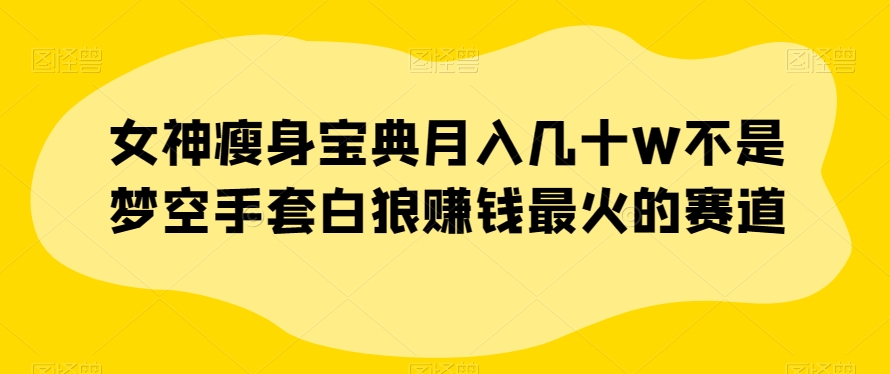 女神瘦身宝典月入几十W不是梦空手套白狼赚钱最火的赛道【揭秘】-比钱轻创