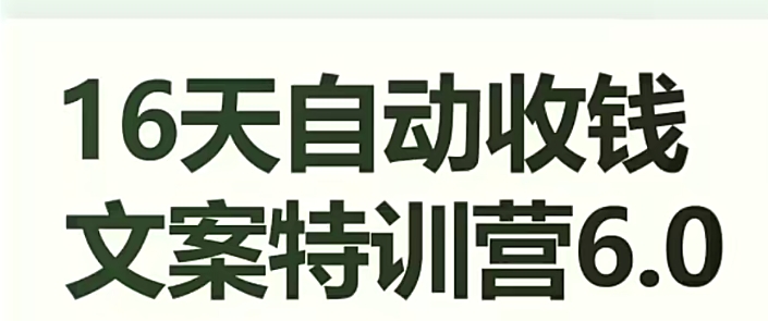 16天自动收钱文案特训营6.0，学会儿每天自动咔咔收钱-比钱轻创