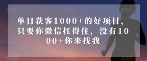 单日获客1000+的好项目，只要你微信扛得住，没有1000+你来找我【揭秘】-比钱轻创