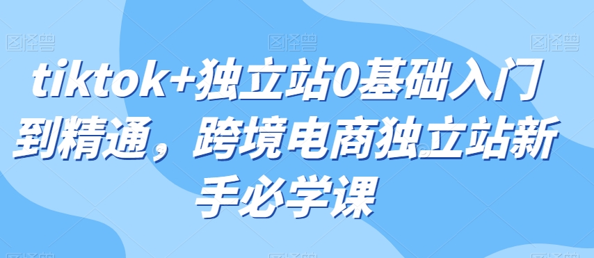 tiktok+独立站0基础入门到精通，跨境电商独立站新手必学课-比钱轻创