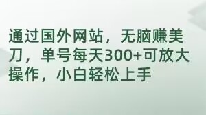 通过国外网站，无脑赚美刀，单号每天300+可放大操作，小白轻松上手【揭秘】-比钱轻创