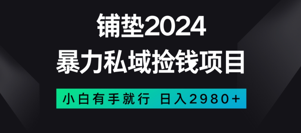 暴力私域捡钱项目，小白无脑操作，日入2980【揭秘】-比钱轻创