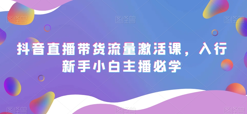 抖音直播带货流量激活课，入行新手小白主播必学-比钱轻创