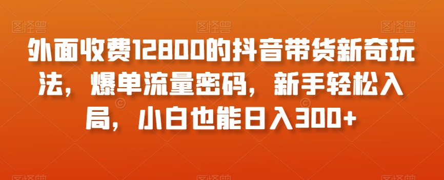 外面收费12800的抖音带货新奇玩法，爆单流量密码，新手轻松入局，小白也能日入300+【揭秘】-比钱轻创