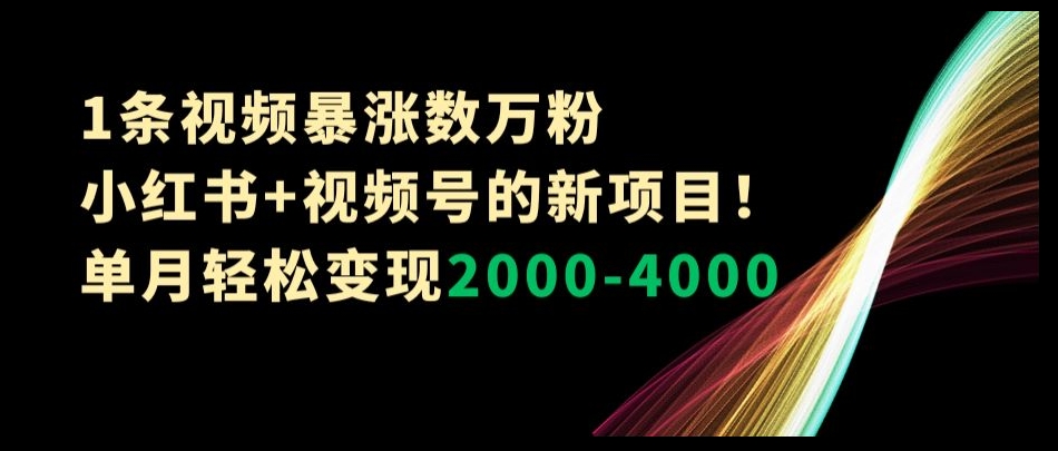 1条视频暴涨数万粉–小红书+视频号的新项目！单月轻松变现2000-4000【揭秘】-比钱轻创