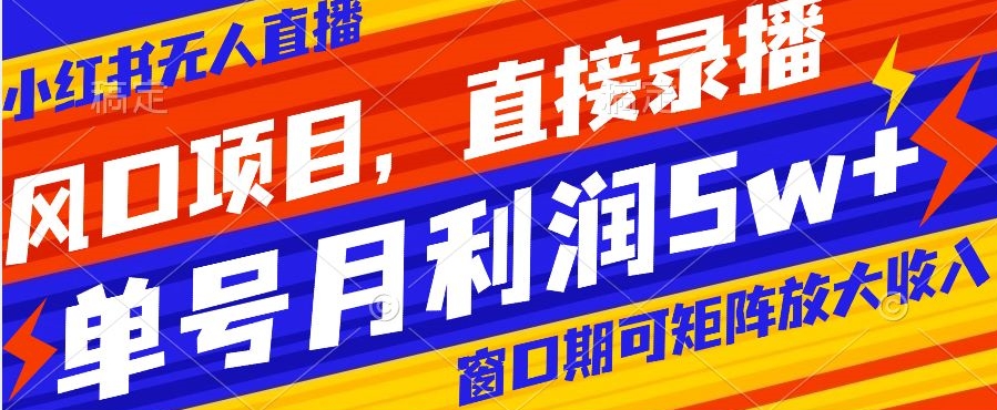 风口项目，小红书无人直播带货，直接录播，可矩阵，月入5w+【揭秘】-比钱轻创