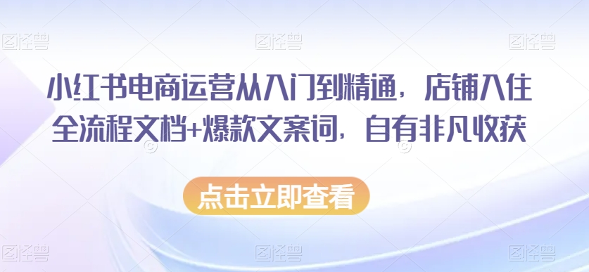 小红书电商运营从入门到精通，店铺入住全流程文档+爆款文案词，自有非凡收获-比钱轻创