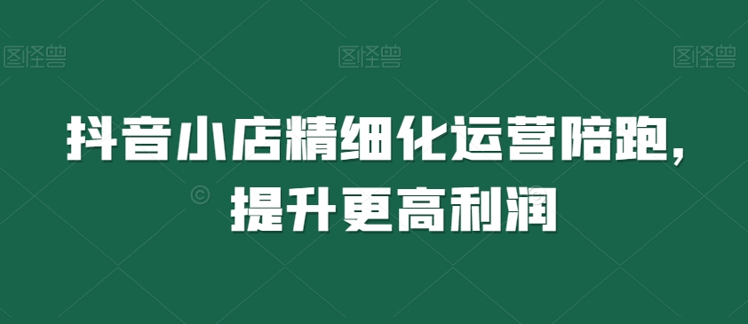 抖音小店精细化运营陪跑，提升更高利润-比钱轻创