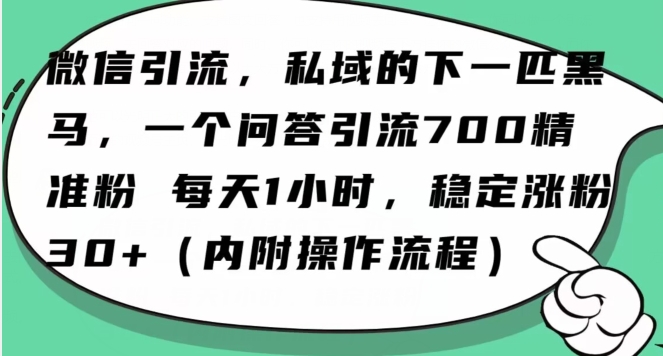 怎么搞精准创业粉？微信新赛道，每天一小时，利用Ai一个问答日引100精准粉-比钱轻创