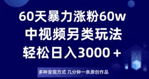 60天暴力涨粉60W，中视频另类玩法，日入3000＋，几分钟一条原创作品多种变现方式-比钱轻创