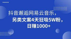 抖音邂逅网易云音乐，另类文案4天狂吸5W粉，日赚1000+【揭秘】-比钱轻创