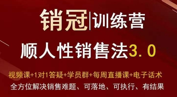 爆款！销冠训练营3.0之顺人性销售法，全方位解决销售难题、可落地、可执行、有结果-比钱轻创