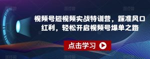 视频号短视频实战特训营，踩准风口红利，轻松开启视频号爆单之路-比钱轻创