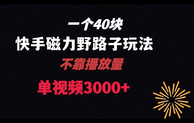 一个40块，快手联合美团磁力新玩法，无视机制野路子玩法，单视频收益4位数【揭秘】-比钱轻创