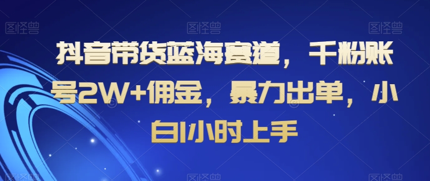 抖音带货蓝海赛道，千粉账号2W+佣金，暴力出单，小白1小时上手【揭秘】-比钱轻创