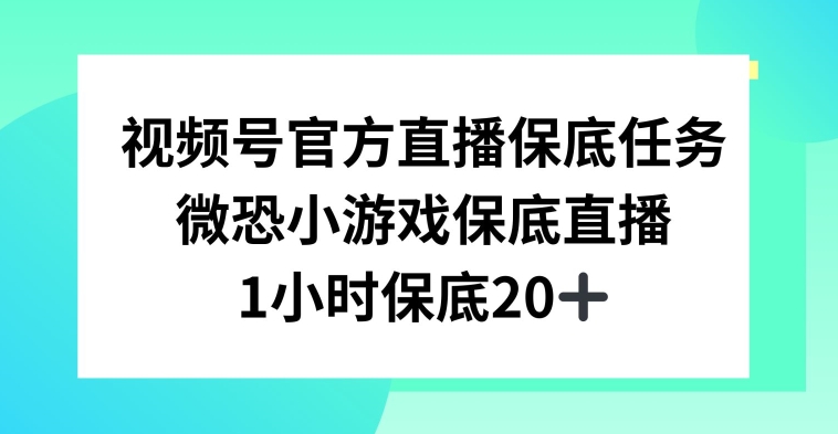 视频号直播任务，微恐小游戏，1小时20+【揭秘】-比钱轻创