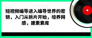 短视频编导进入编导世界的密钥，入门从拆片开始，培养网感，建素素库-比钱轻创