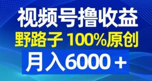 视频号野路子撸收益，100%原创，条条爆款，月入6000＋【揭秘】-比钱轻创