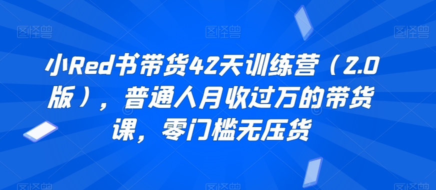 小Red书带货42天训练营（2.0版），普通人月收过万的带货课，零门槛无压货-比钱轻创
