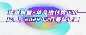 臻曦联盟-单品微付费正价起号,2024年1月最新课程-比钱轻创