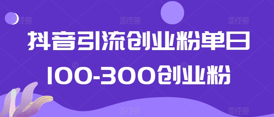 抖音引流创业粉单日100-300创业粉【揭秘】-比钱轻创