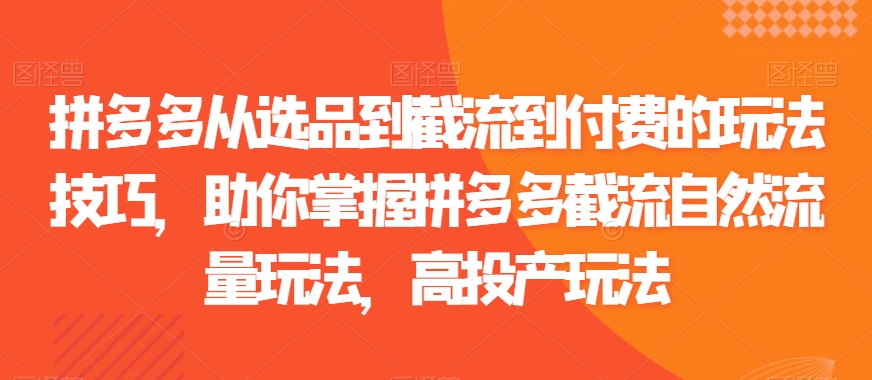 拼多多从选品到截流到付费的玩法技巧，助你掌握拼多多截流自然流量玩法，高投产玩法-比钱轻创