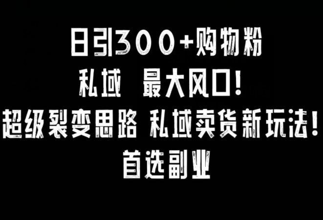 日引300+购物粉，超级裂变思路，私域卖货新玩法，小红书首选副业【揭秘】-比钱轻创