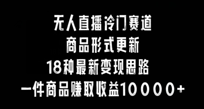无人直播冷门赛道，商品形式更新，18种变现思路，一件商品赚取收益10000+【揭秘】-比钱轻创