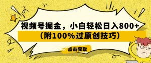 视频号掘金，小白轻松日入800+（附100%过原创技巧）【揭秘】-比钱轻创