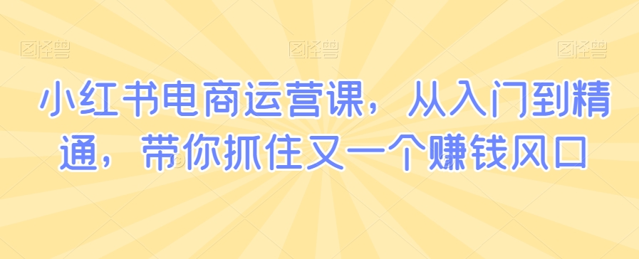 小红书电商运营课，从入门到精通，带你抓住又一个赚钱风口-比钱轻创