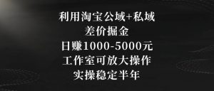 利用淘宝公域+私域差价掘金，日赚1000-5000元，工作室可放大操作，实操稳定半年【揭秘】-比钱轻创