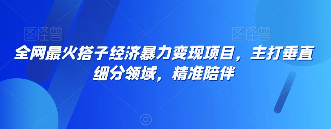 全网最火搭子经济暴力变现项目，主打垂直细分领域，精准陪伴【揭秘】-比钱轻创