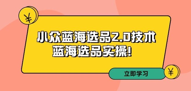 拼多多培训第33期：小众蓝海选品2.0技术-蓝海选品实操！-比钱轻创