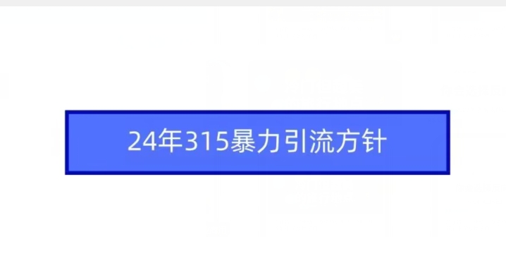 24年315暴力引流方针-比钱轻创