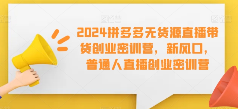 2024拼多多无货源直播带货创业密训营，新风口，普通人直播创业密训营-比钱轻创