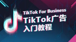 TikTok广告入门教程，从0到1掌握TikTok投放的全流程-比钱轻创