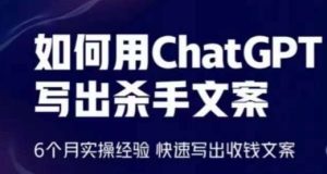 如何用ChatGPT写出杀手文案，6个月实操经验，快速写出收钱文案-比钱轻创